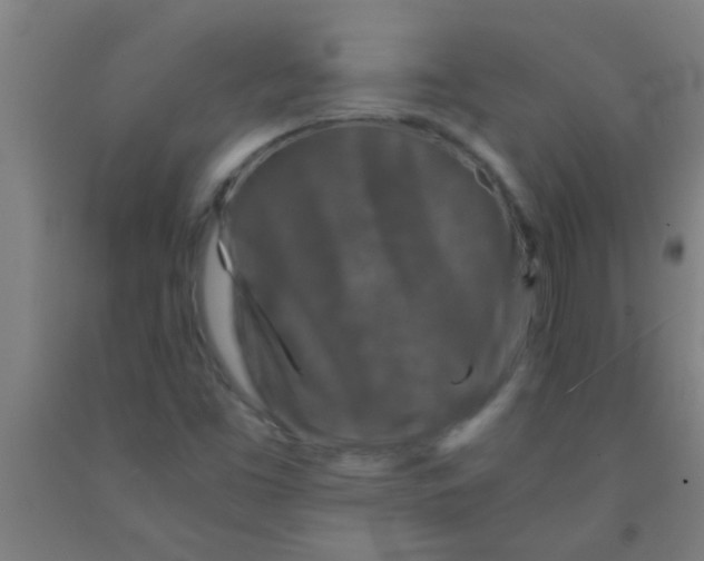 X0000092021453200709271539