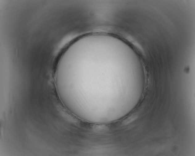 X0000092021454200709271539