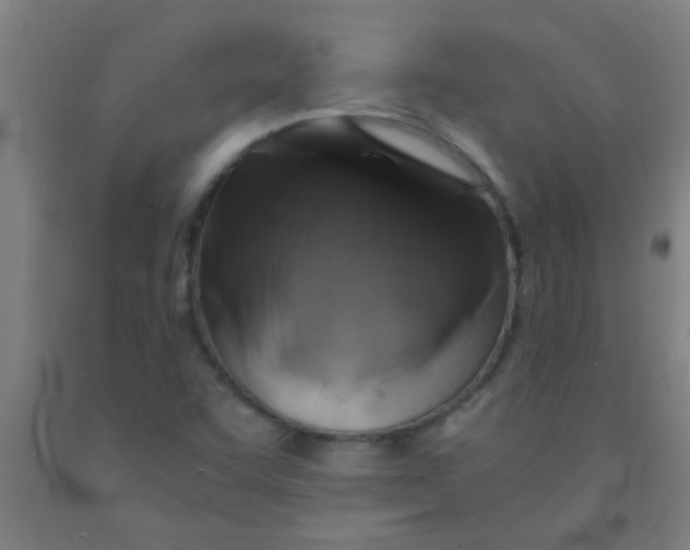 X0000092021455200709271539