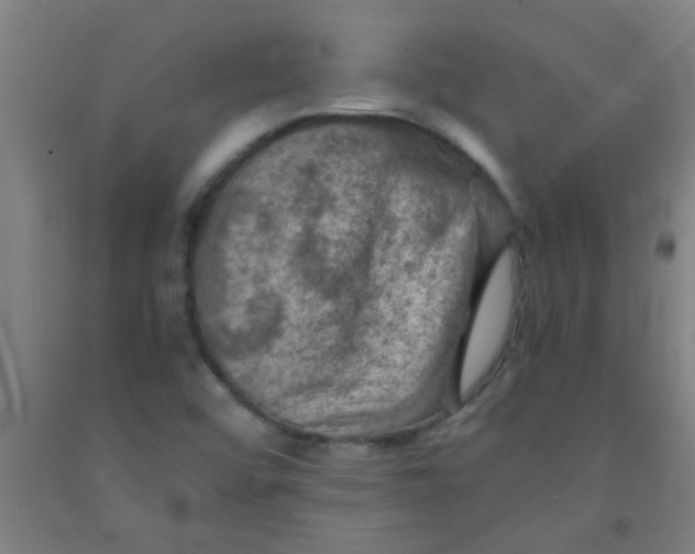 X0000092021456200709271539