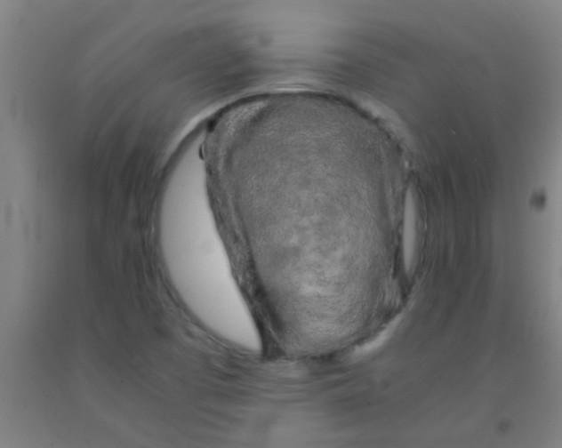 X0000092021457200709271539