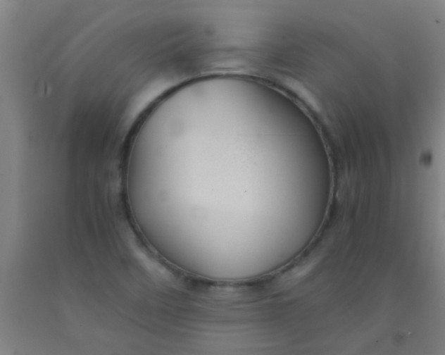 X0000092021458200709271539