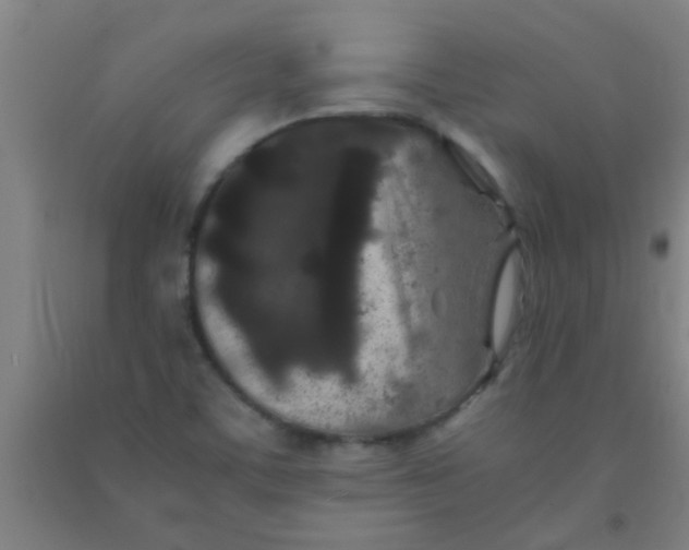 X0000092021459200709271539