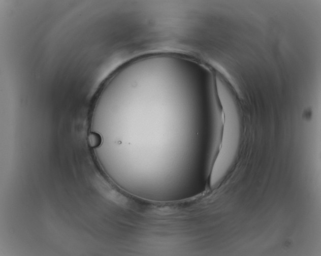 X0000092021460200709271539