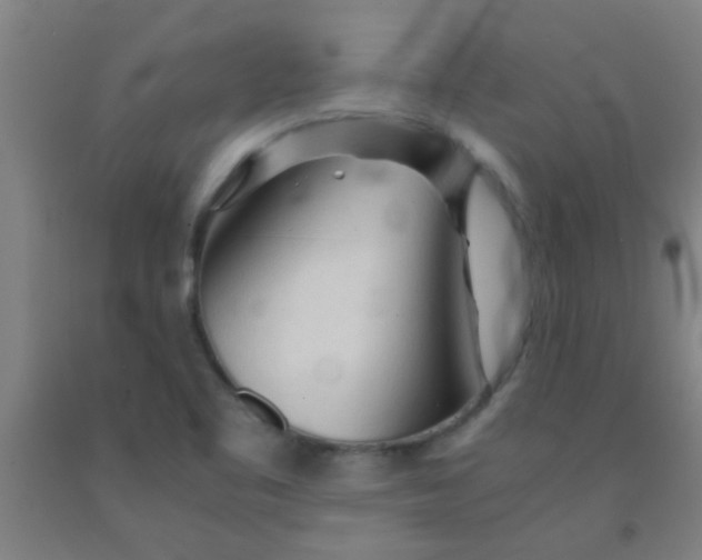 X0000092021461200709271539