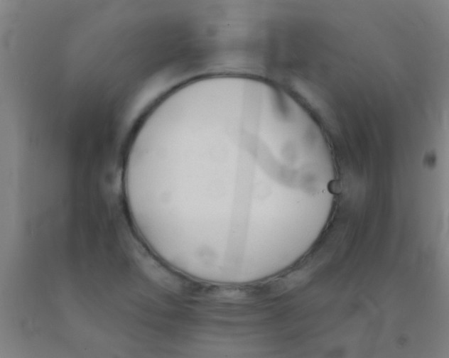 X0000092021462200709271539