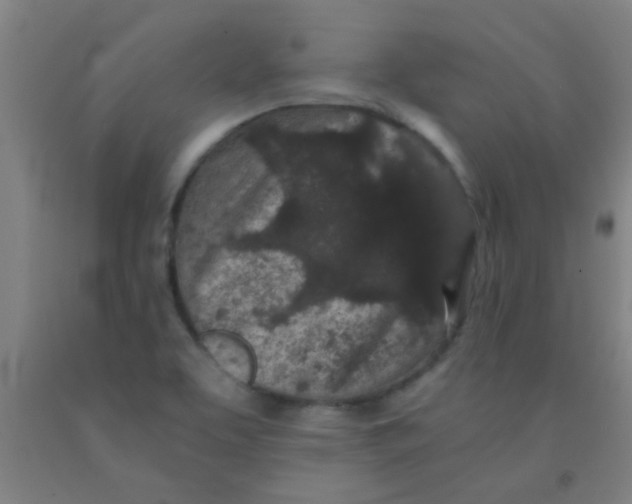 X0000092021463200709271539