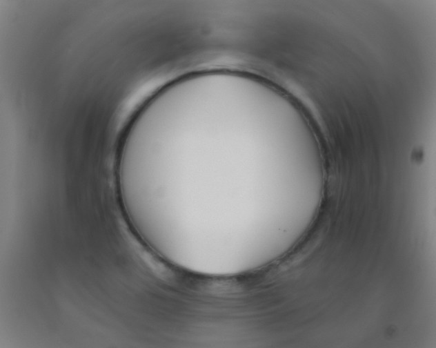 X0000092021464200709271539