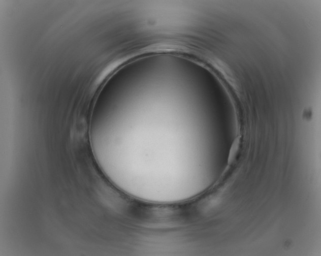 X0000092021465200709271539