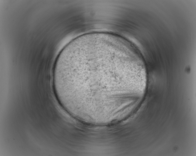 X0000092021467200709271539