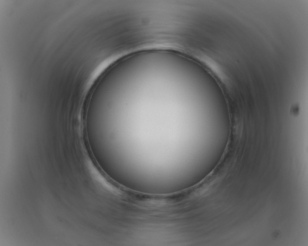 X0000092021468200709271539