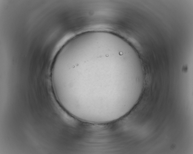 X0000092021470200709271539