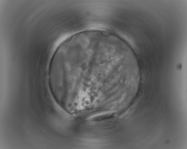 X0000092021471200709271539