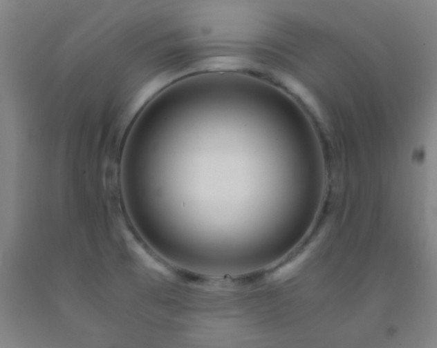 X0000092021473200709271539