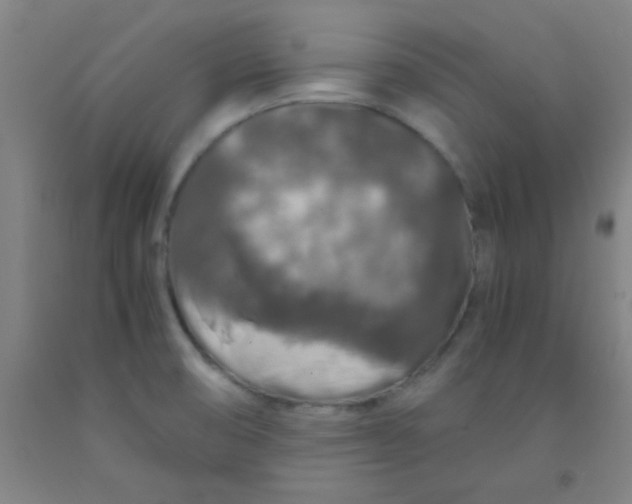 X0000092021474200709271539