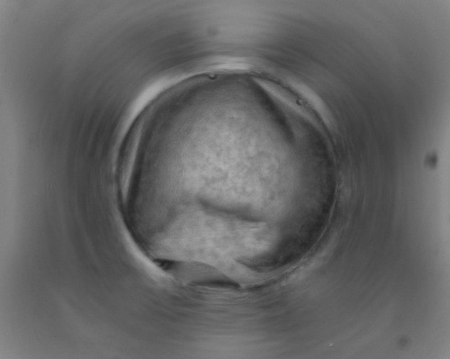 X0000092021475200709271539