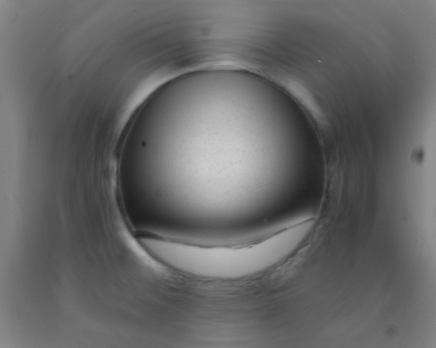 X0000092021476200709271539