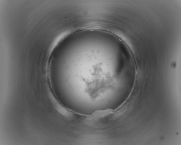 X0000092021477200709271539