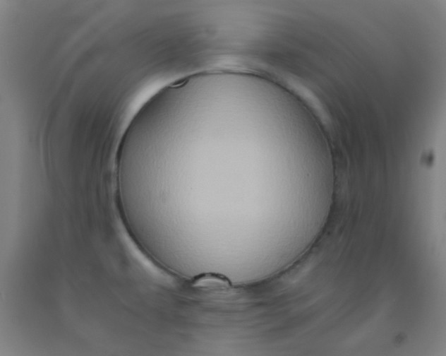 X0000092021479200709271539