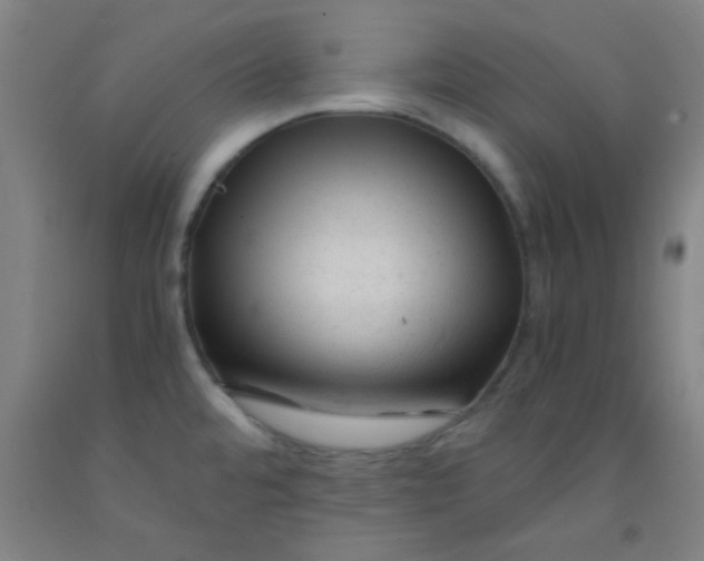 X0000092021480200709271539