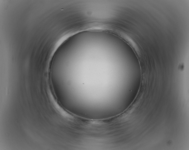 X0000092021483200709271539