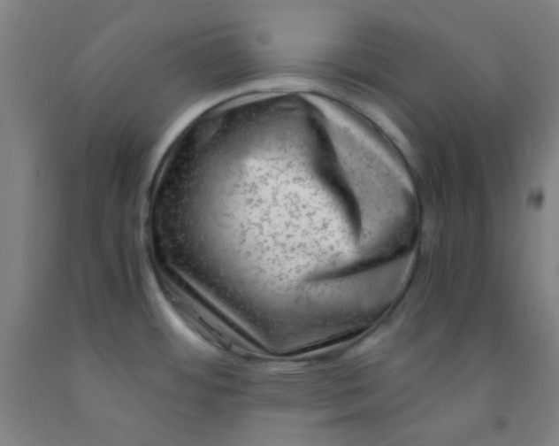 X0000092021484200709271539