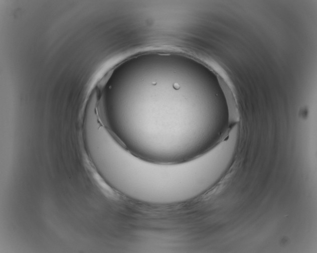 X0000092021485200709271539