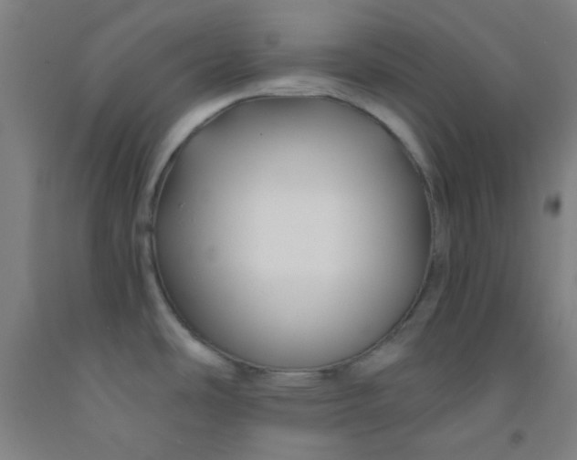 X0000092021486200709271539