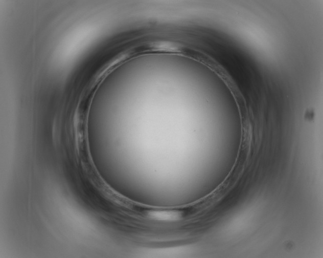 X0000092021487200709271539