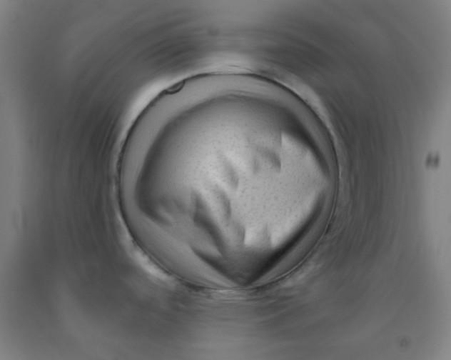 X0000092021488200709271539