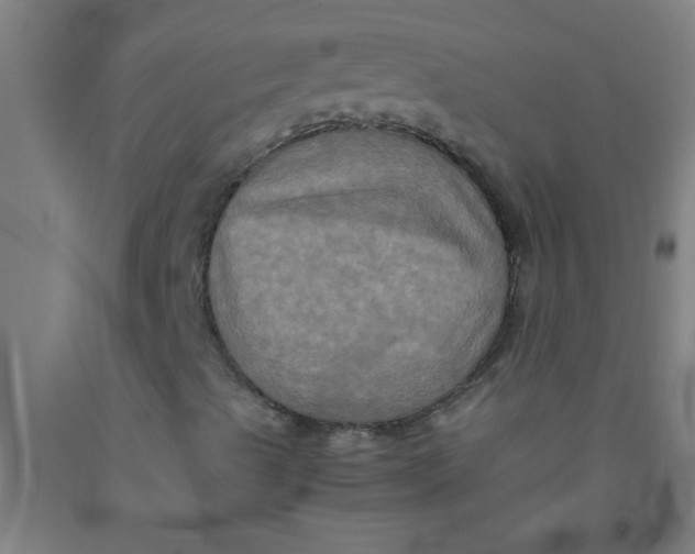 X0000092021489200709271538