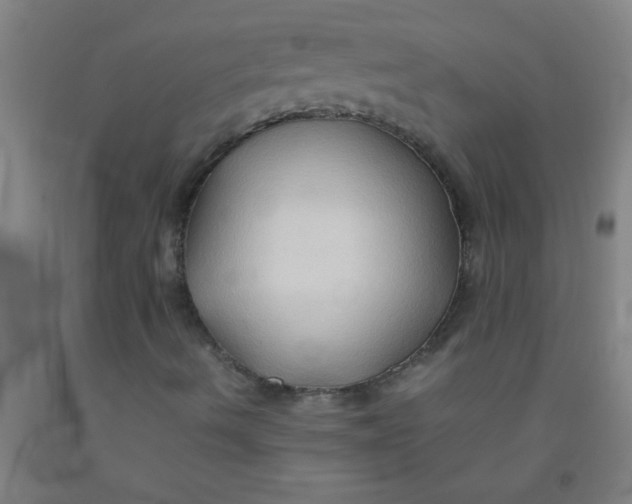 X0000092021490200709271538