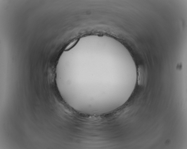 X0000092021491200709271538