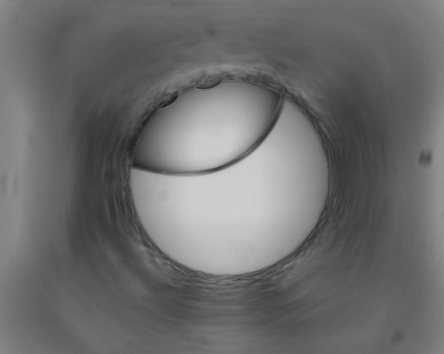 X0000092021492200709271538