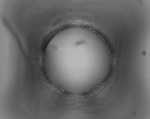 X0000092021493200709271538