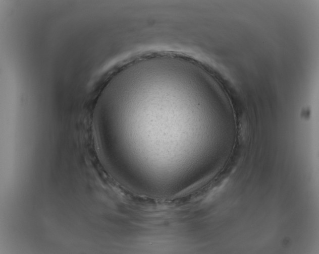 X0000092021494200709271538