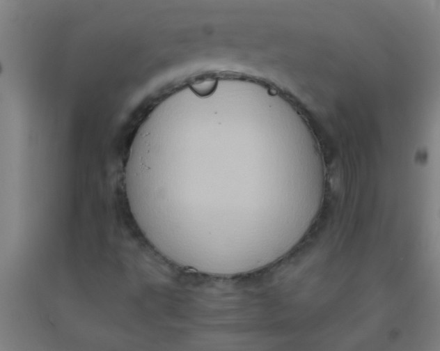 X0000092021495200709271538