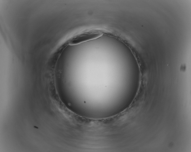 X0000092021496200709271538