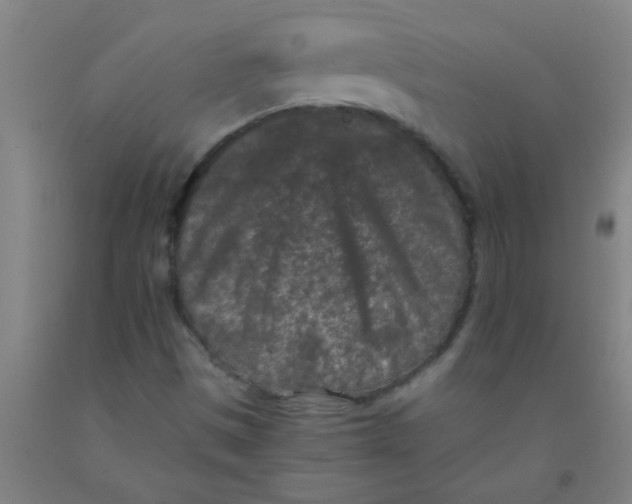 X0000092021497200709271538