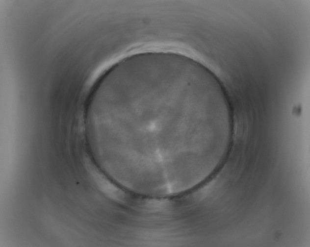 X0000092021498200709271538