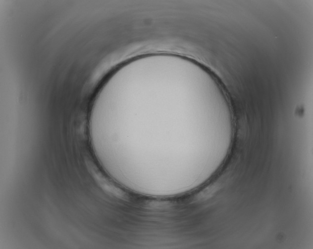 X0000092021499200709271538