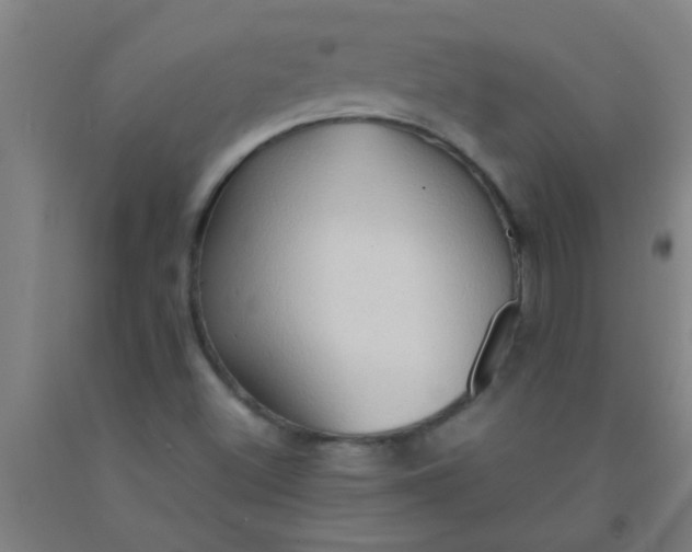 X0000092021500200709271538