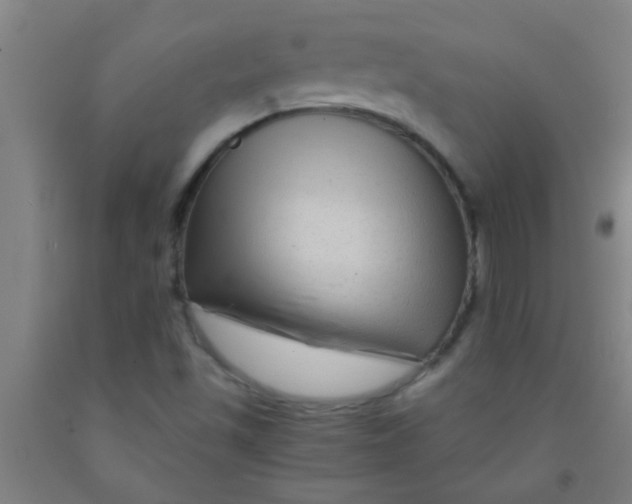 X0000092021501200709271538