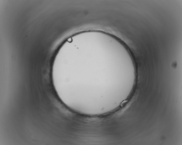 X0000092021502200709271538