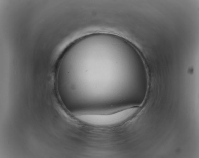 X0000092021503200709271538