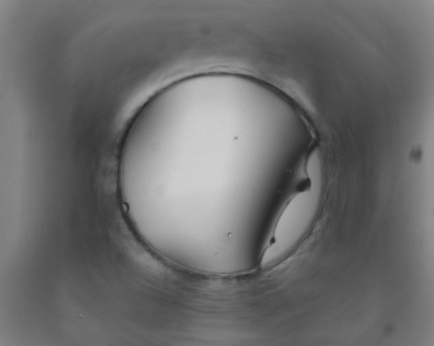 X0000092021504200709271538