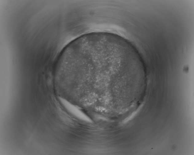 X0000092021505200709271538