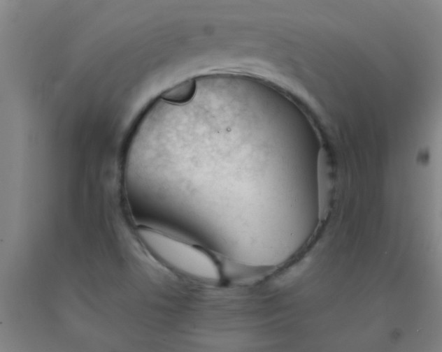 X0000092021506200709271539