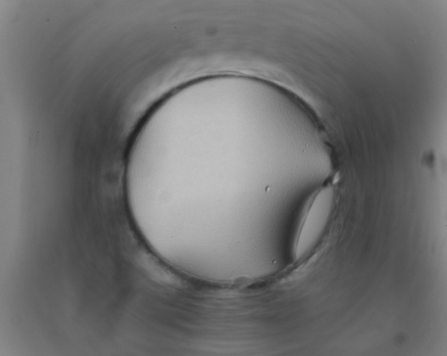 X0000092021507200709271539