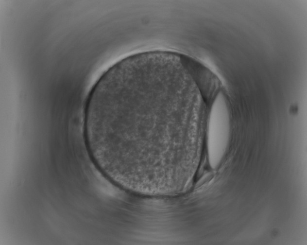 X0000092021508200709271539